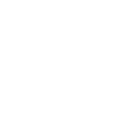 Partner Left Decoration